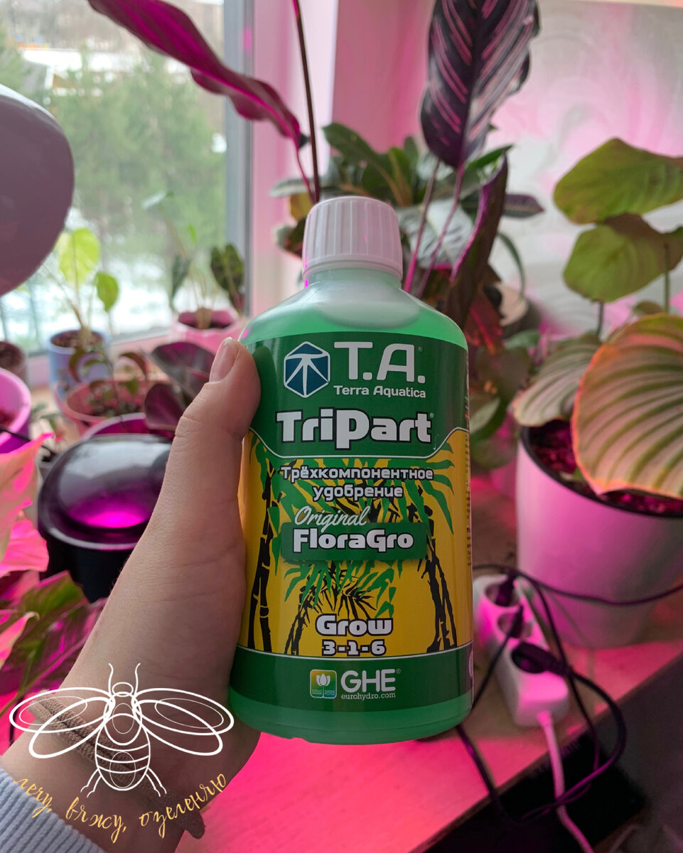 Обычно я приобретаю большими объемами. Осмокота тоже сразу 1 кг взяла. 