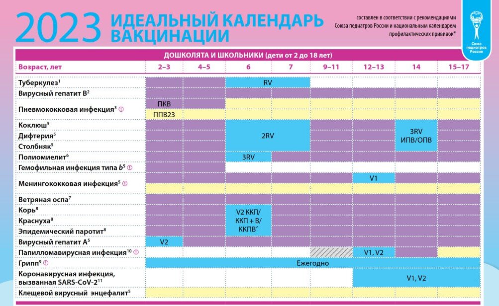 Календарные прививки детям по возрасту таблица Обязательные прививки: когда, как и от чего вакцинировать детей Кубань 24. Полез