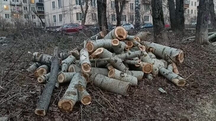     В Советском районе Казани вырубили часть деревьев по улице Заря. О случившемся рассказал эко активист Тимур Ескараев на YouTube канале EcoKazan.