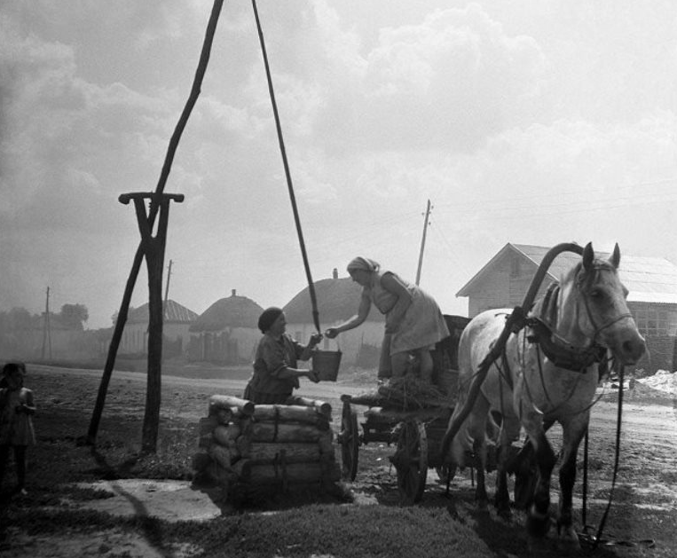 Фото Б. Косарева