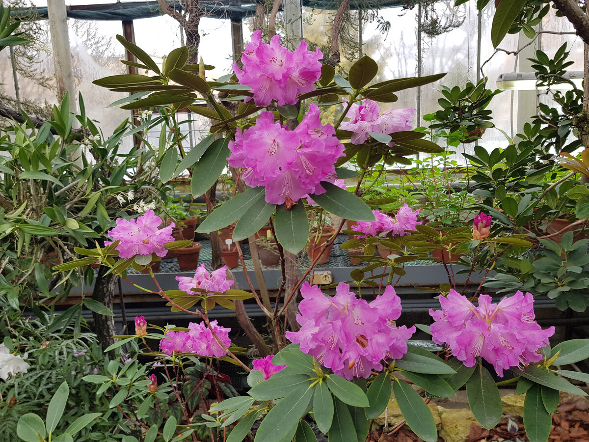 Фотография автора