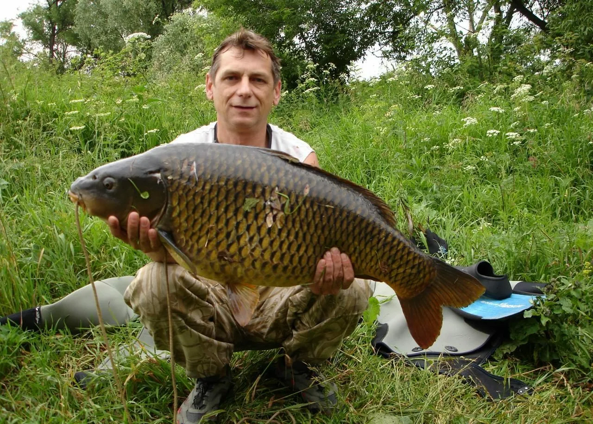 рыбалка книга энциклопедия. большой улов рыбы. мужик и гигантская рыба. рыба большая. большой рыболов.