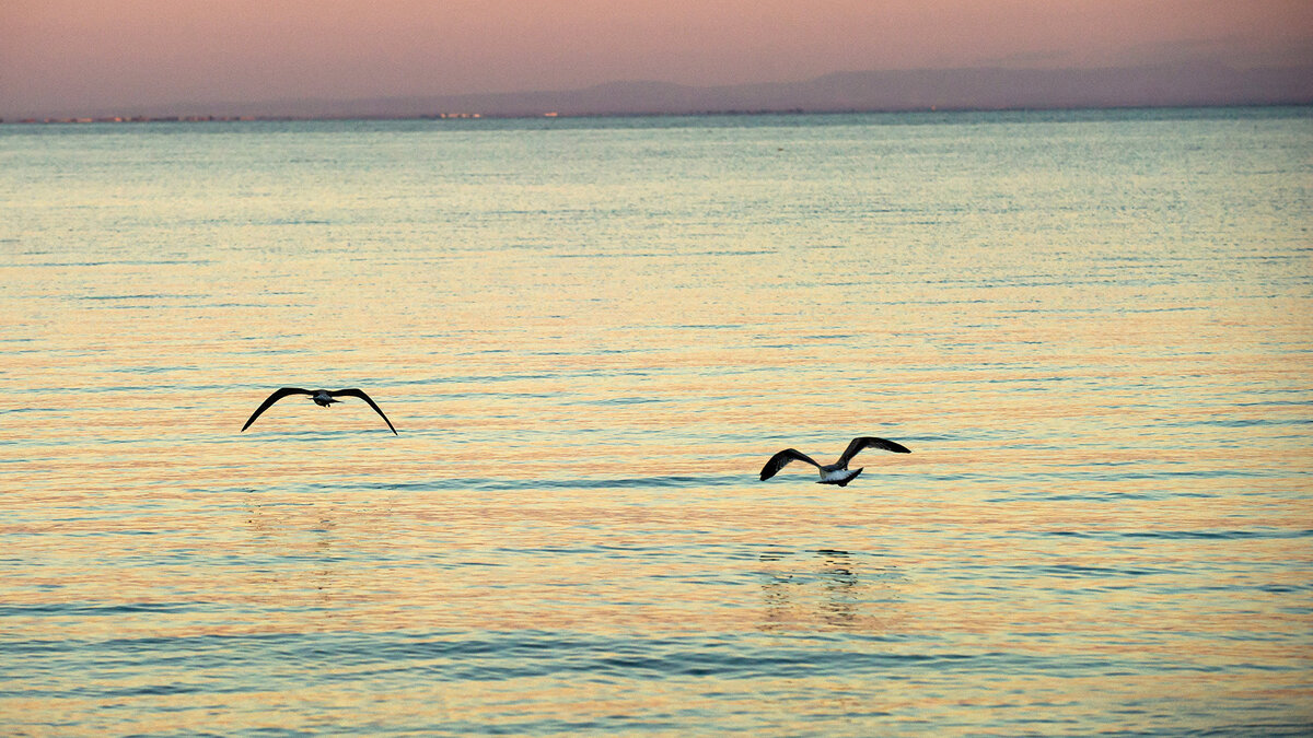    " Черное море© РИА Новости . Сергей Мальгавко