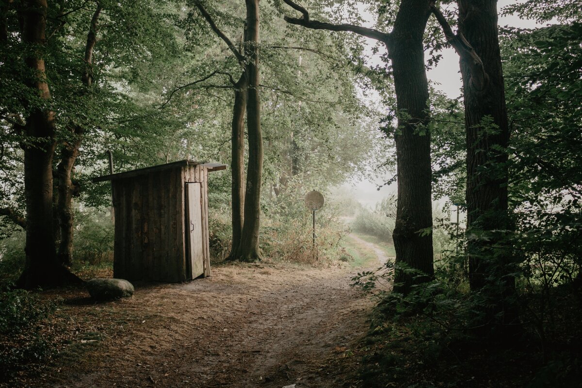    Unsplash
