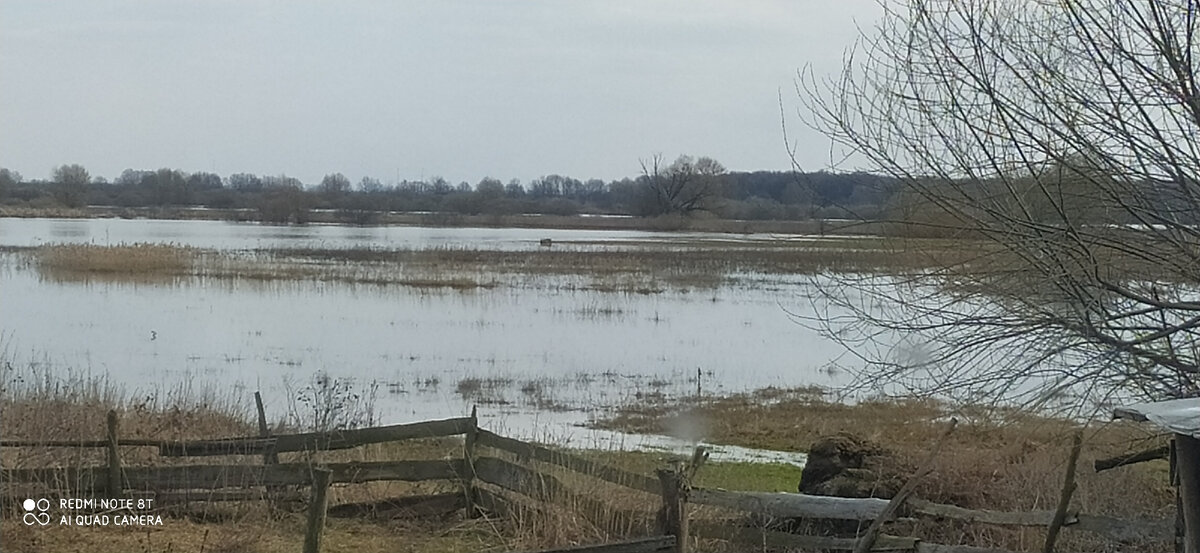 Вода убывает.