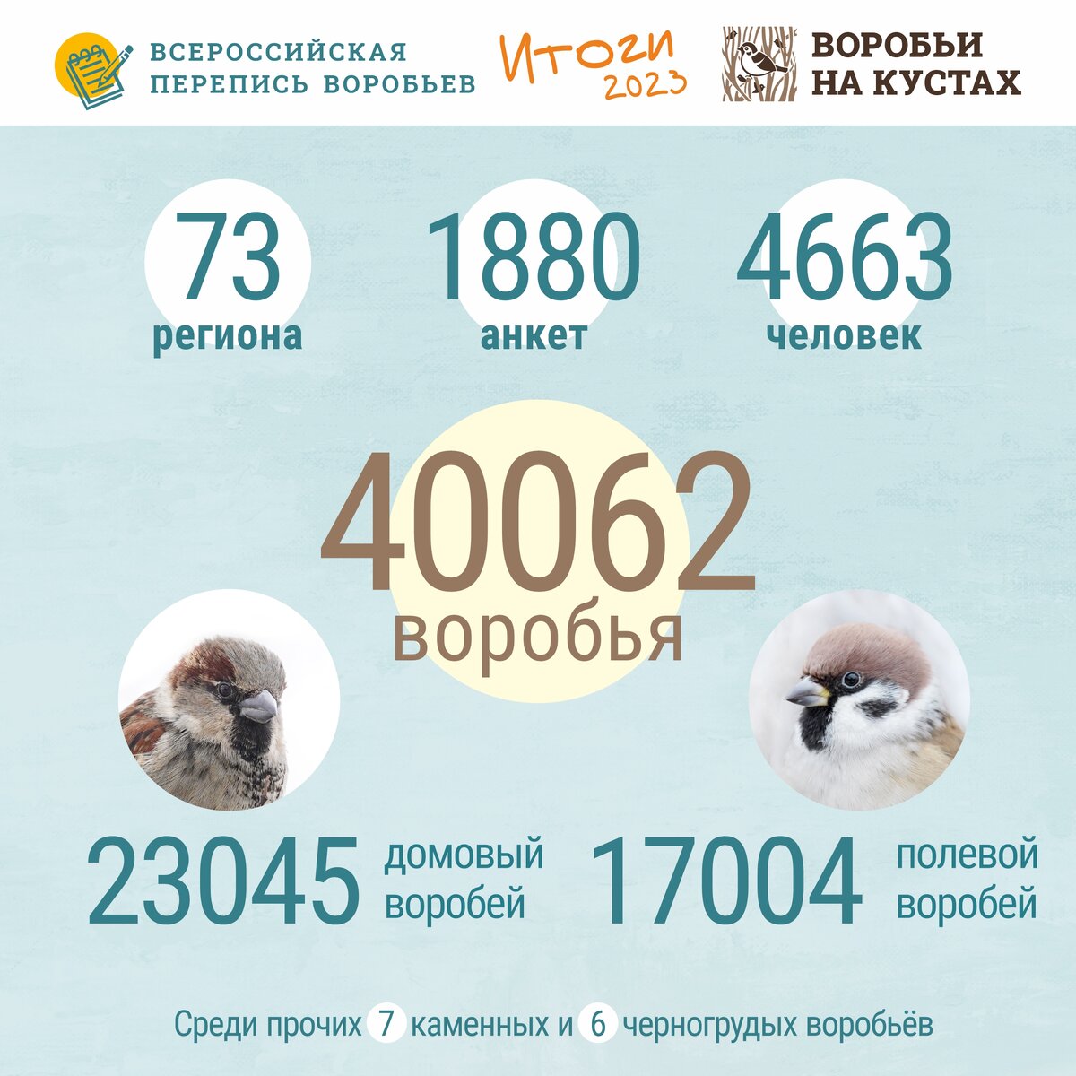 Статистика акции 2023