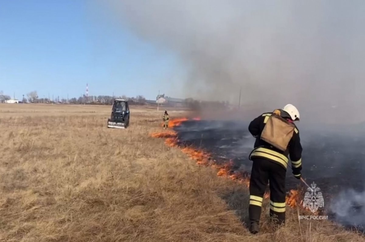    В период пожароопасного сезона МЧС гоняется за нарушителями