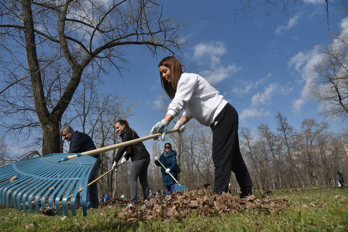 Знаменитости на субботнике. Первый субботник. Общегородской субботник москва. Субботник 20. Уборка города.