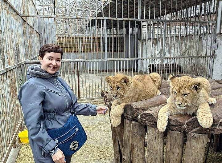 Львят выкормила собака. Мама-львица испытала огромный стресс при обстрелах и кормить детенышей отказалась. «Им скоро пять месяцев. Каждый съедает по три курочки, а кроме того, в меню обязательно творожок и яичный желток», — рассказала сотрудник зоопарка Наталья Луценко. Фото: Юлия АНДРИЕНКО