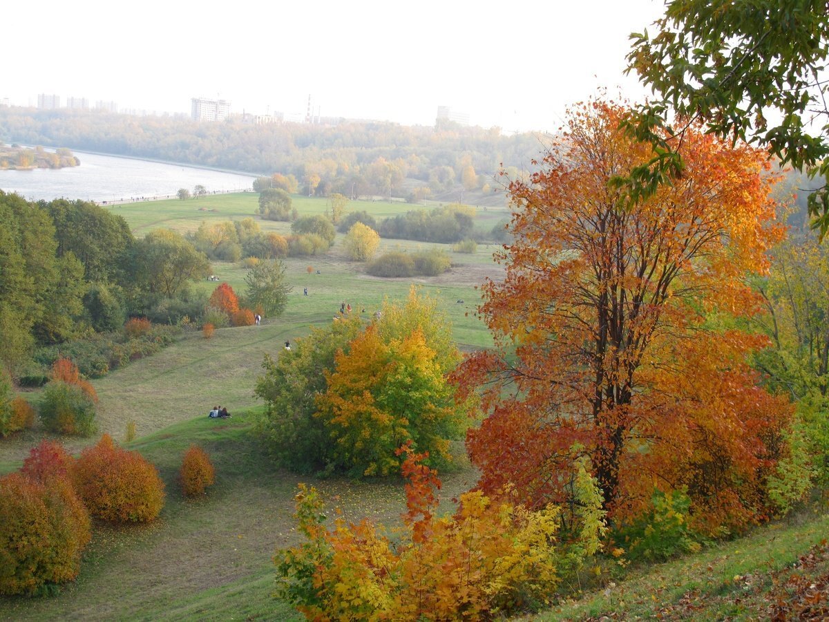 Коломенское. Покров день.  Фото из Интернета.