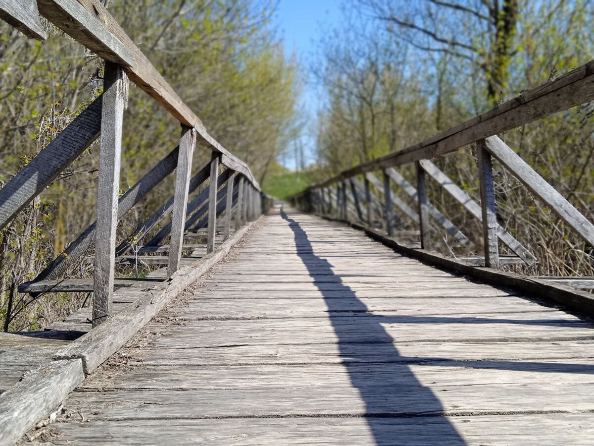 Мост скрипит, но держится. Коляска скрипит, но держится. Я тоже скриплю, но держусь. 