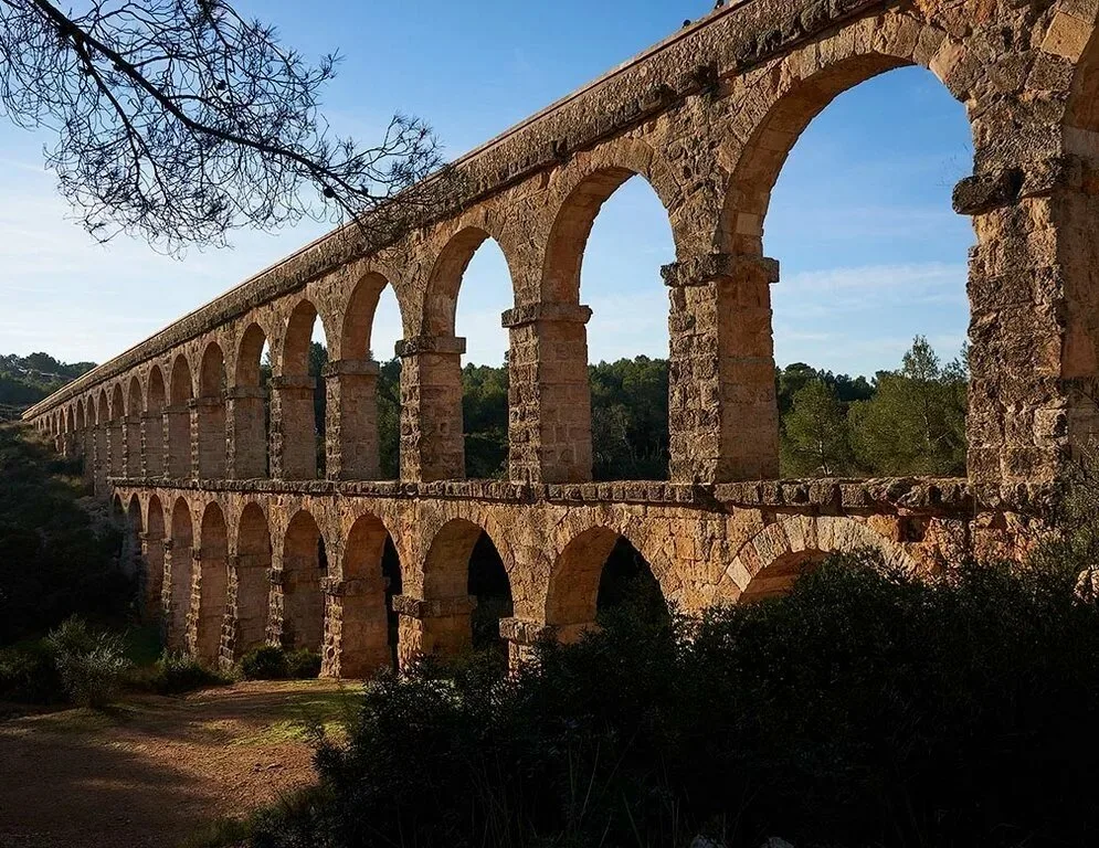 Фото с сайта dzen.ru