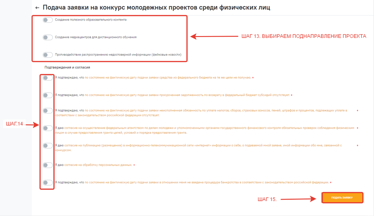 Составляющие заявки на грантовый конкурс росмолодежи