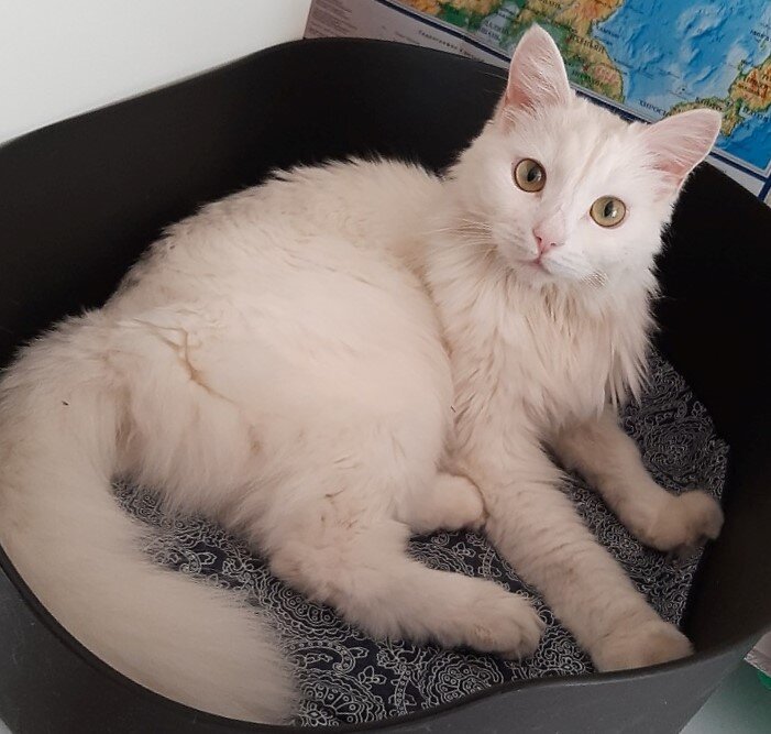 Push-эксперт: "А что?"