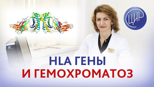 HLA-гены и гемохроматоз. Клинический случай с разбором анализов. Дементьева С.Н.