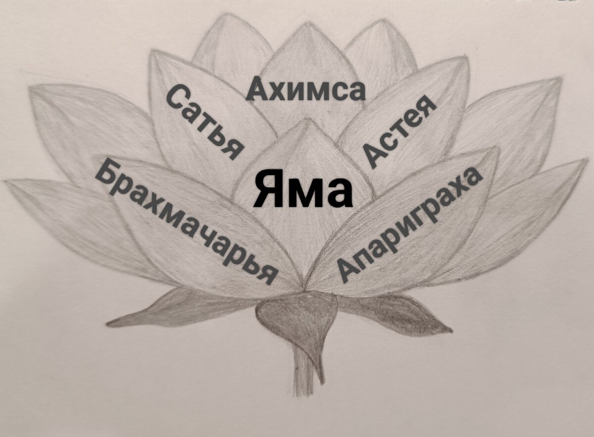 Цветок лотоса. Мой рисунок.