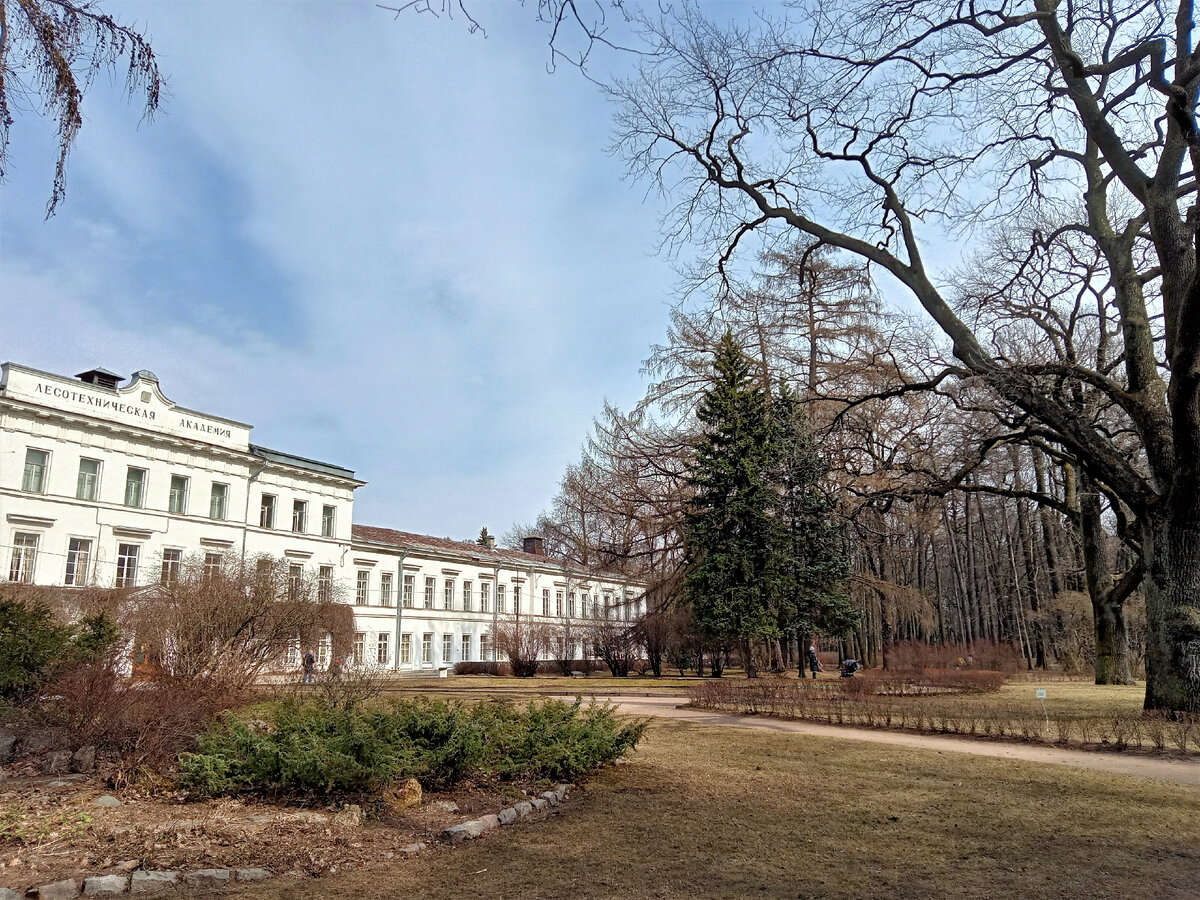 Здание академии. Фото автора