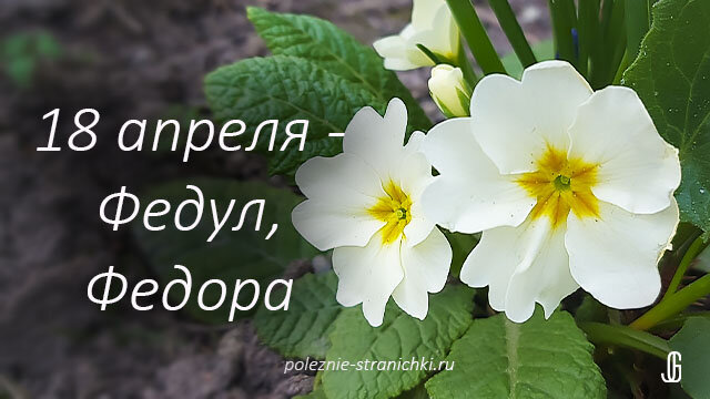 18 Апреля праздники Федул ветренник. 18 Апреля Федул ветреник. Федул и Меланья. Стих про Федула.