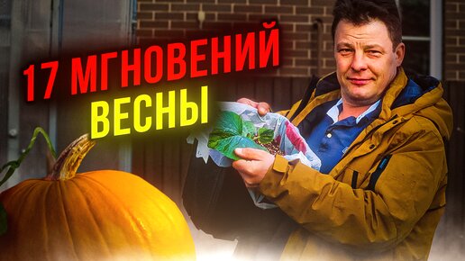 как прорастить семена гигантской тыквы атлантический гигант