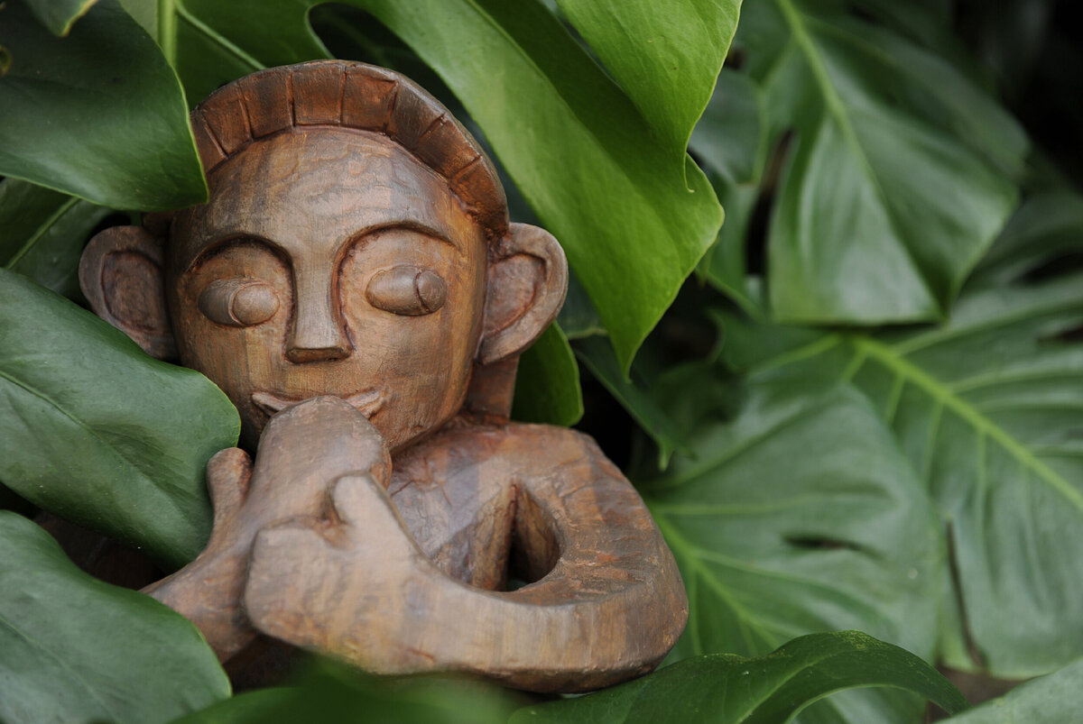 Загадочные существа обитали на Гавайских островах тысячи лет назад? (Фото: www.conciears.com).