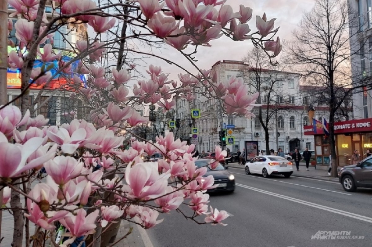    Краснодар на майские праздники может принять 100 тысяч туристов