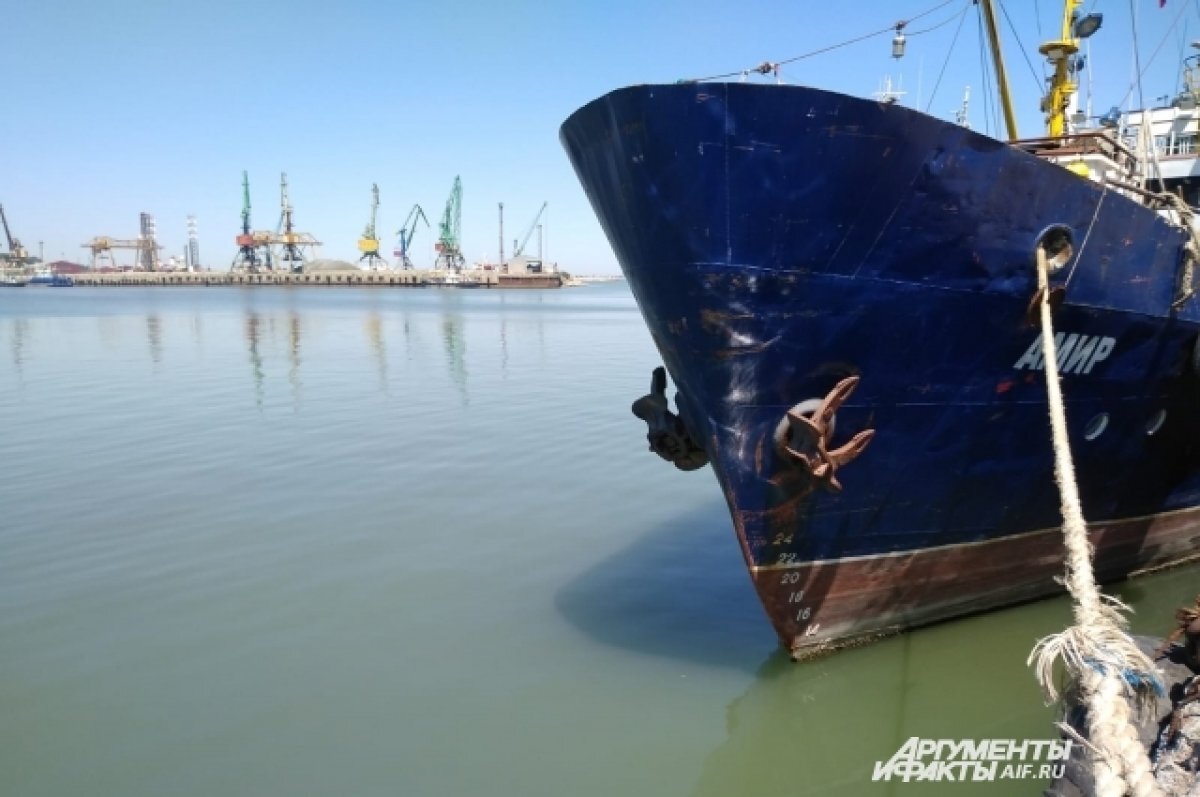    Курс зюйд-ост. Что сулят Воронежу азиатские рынки?