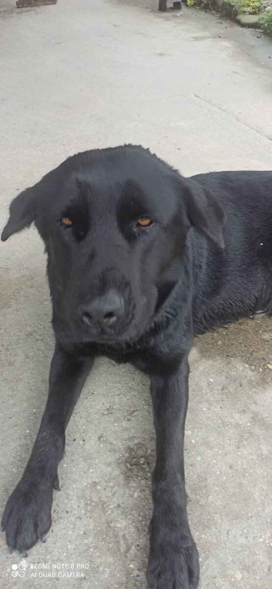 Фото из открытого источника 