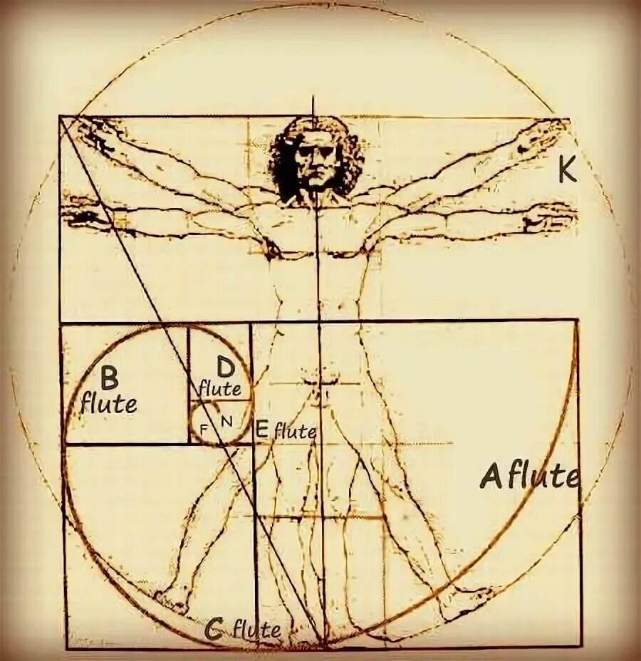 Леонардо да винчи сечение человека. Золотое сечение Леонардо Давинчи. Витрувианского человека золотое сечение. Леонардо да Винчи золотое сечение человека. Пропорции тела Леонардо да Винчи.