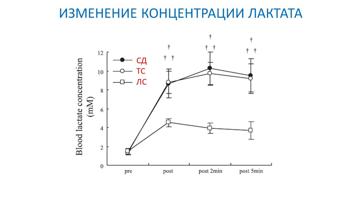 Статодинамика - исследование срочных и хронических эффектов | Василий  Волков | Дзен