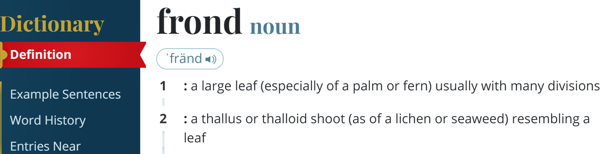 Cкриншот-цитата из cловаря Merriam-Webster https://www.merriam-webster.com/dictionary/frond 