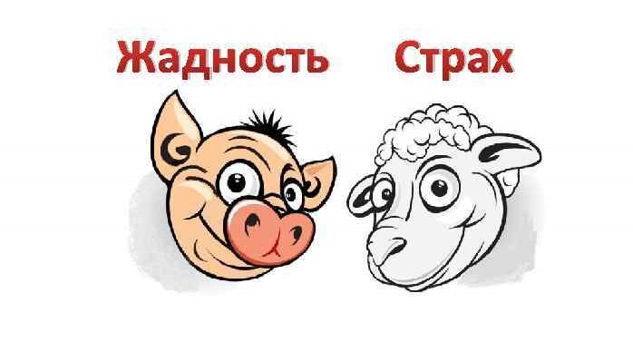 Источник Яндекс Картинки. Свободный доступ.