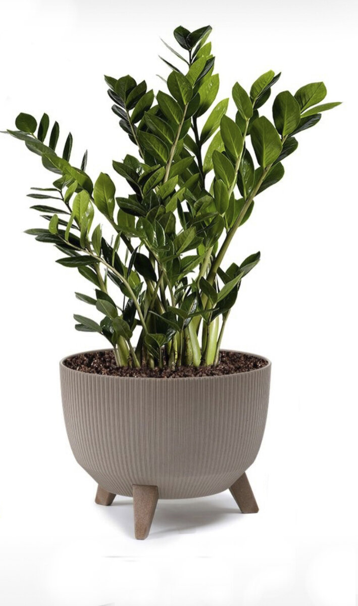 Артикул 73765828 , цена 1500р 