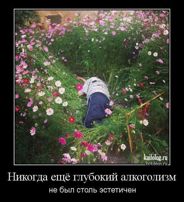 Яндекс.Картинки.