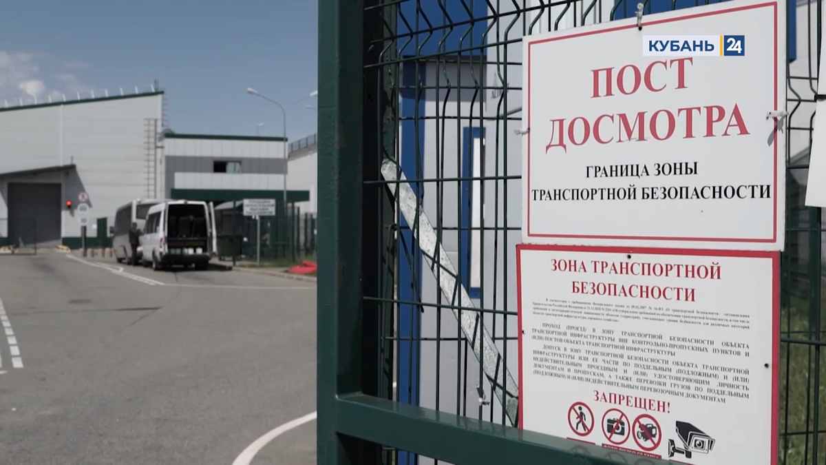  Фото: Кубань 24