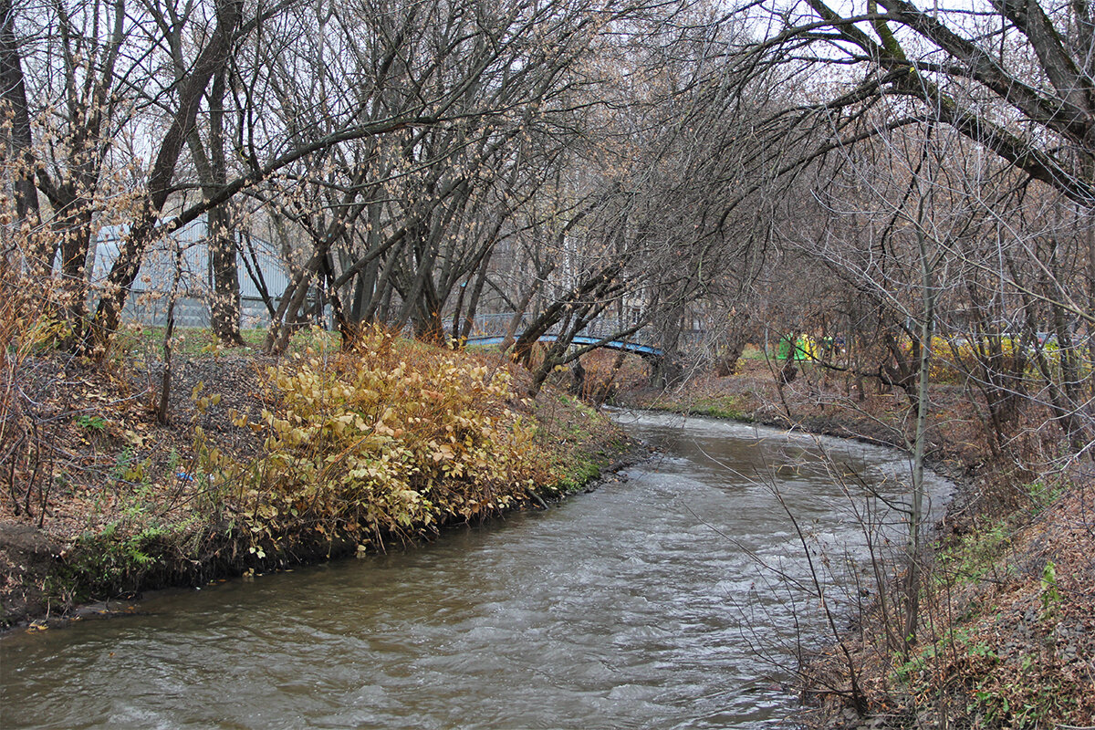 Когда-то на берегах Яузы было так: бурьян, пустыри и подозрительные личности вечерами... Фото usadboved.ru