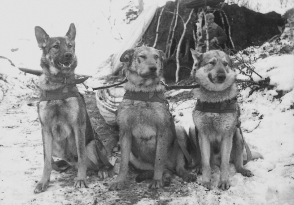 Источник изображения: ЯСИА