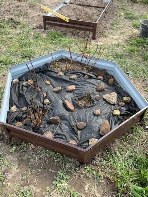 Первый опыт с укрывным материалом