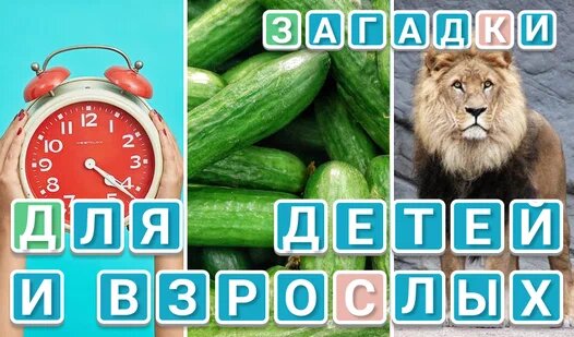 Лучшие загадки: конкурс загадок