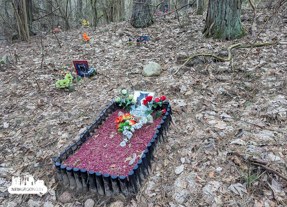 Могила собаки на дачном участке. Можно ли животных хоронить на своем участке. Можно ли животных хоронить на своем участке. Захоронение животных. Можно ли животных хоронить на своем участке.