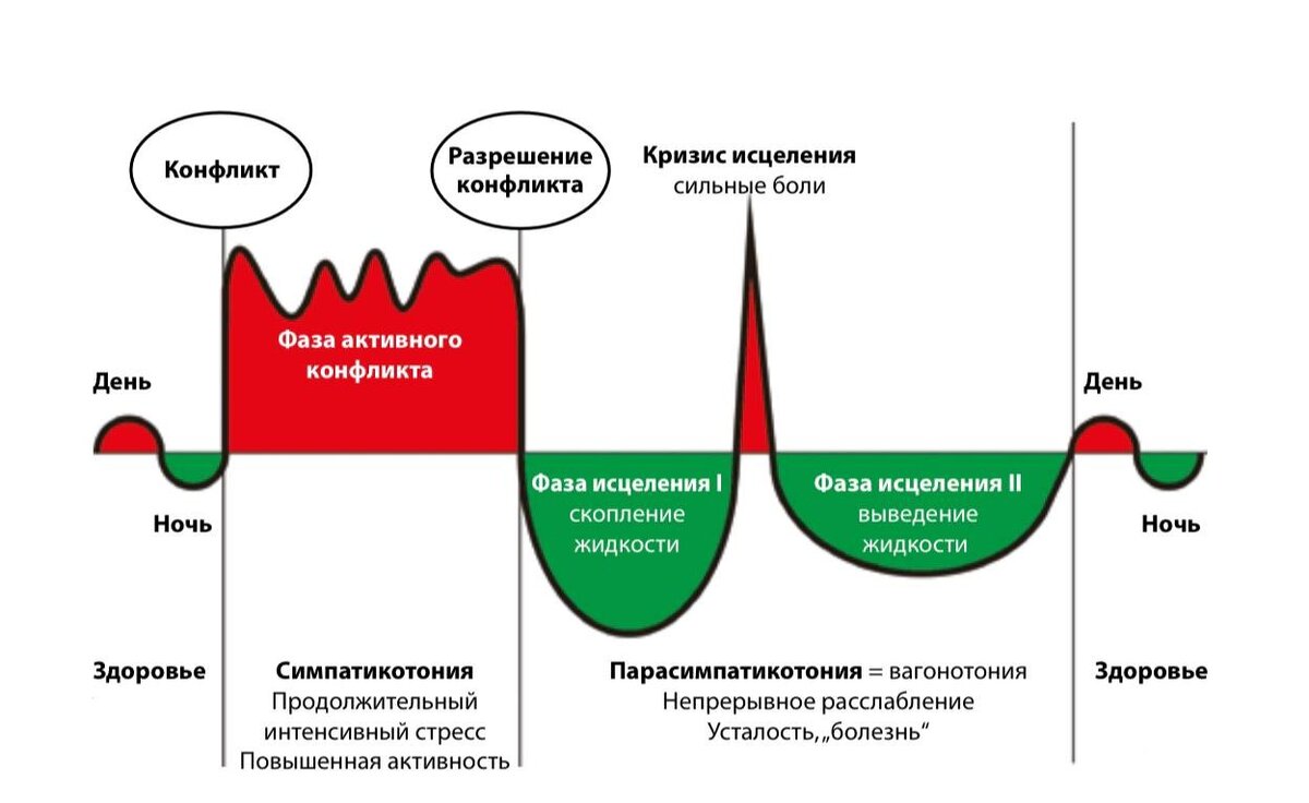 Фазы болезни