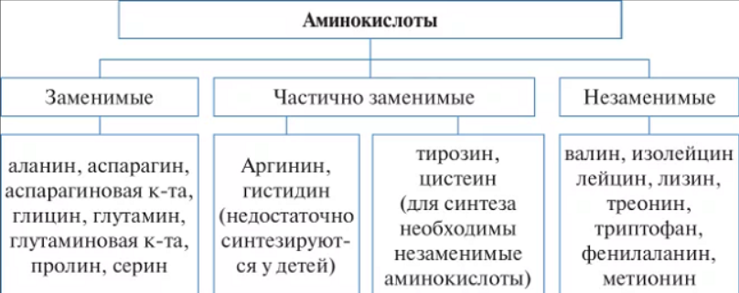 Группа незаменимых аминокислот. Незаменимые и условно заменимые аминокислоты. Заменимые и незаменимые аминокислоты таблица. Аминокислоты заменимые и незаменимые таблица частично заменимые. Аминокислоты заменимые и незаменимые схема.