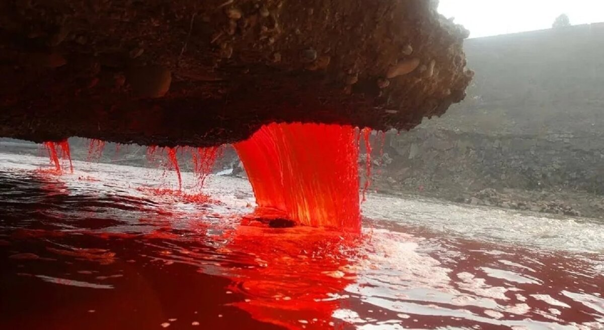 Ледник Тейлора Кровавый водопад. Кровавый водопад в Антарктиде. Водопад крови. Самая опасная речка в мире. Вода насыщенная железом
