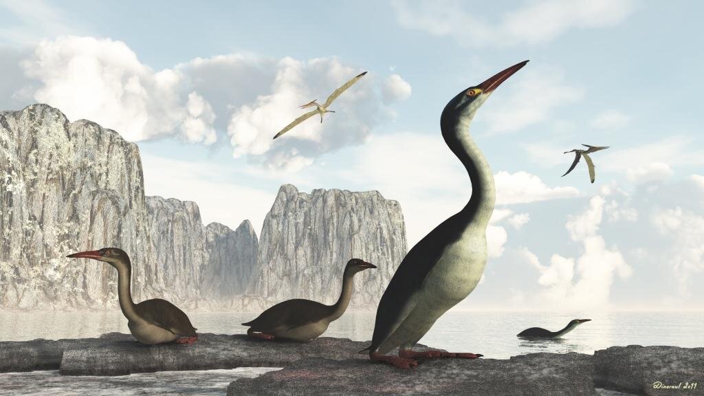 Hesperornis