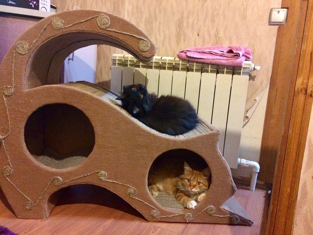 Лежаки, домики для кошек