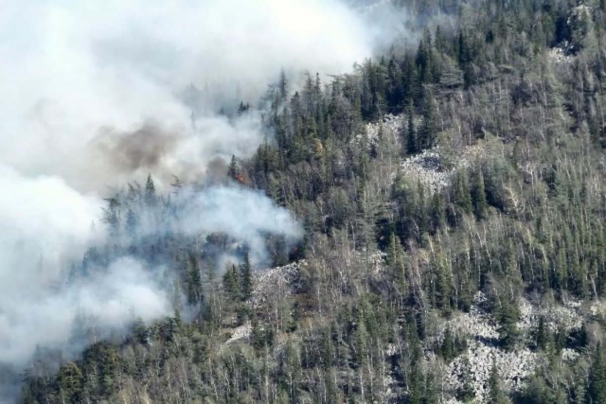    Сотрудники Авиалесоохраны подключились к тушению пожара в «Зигальге»