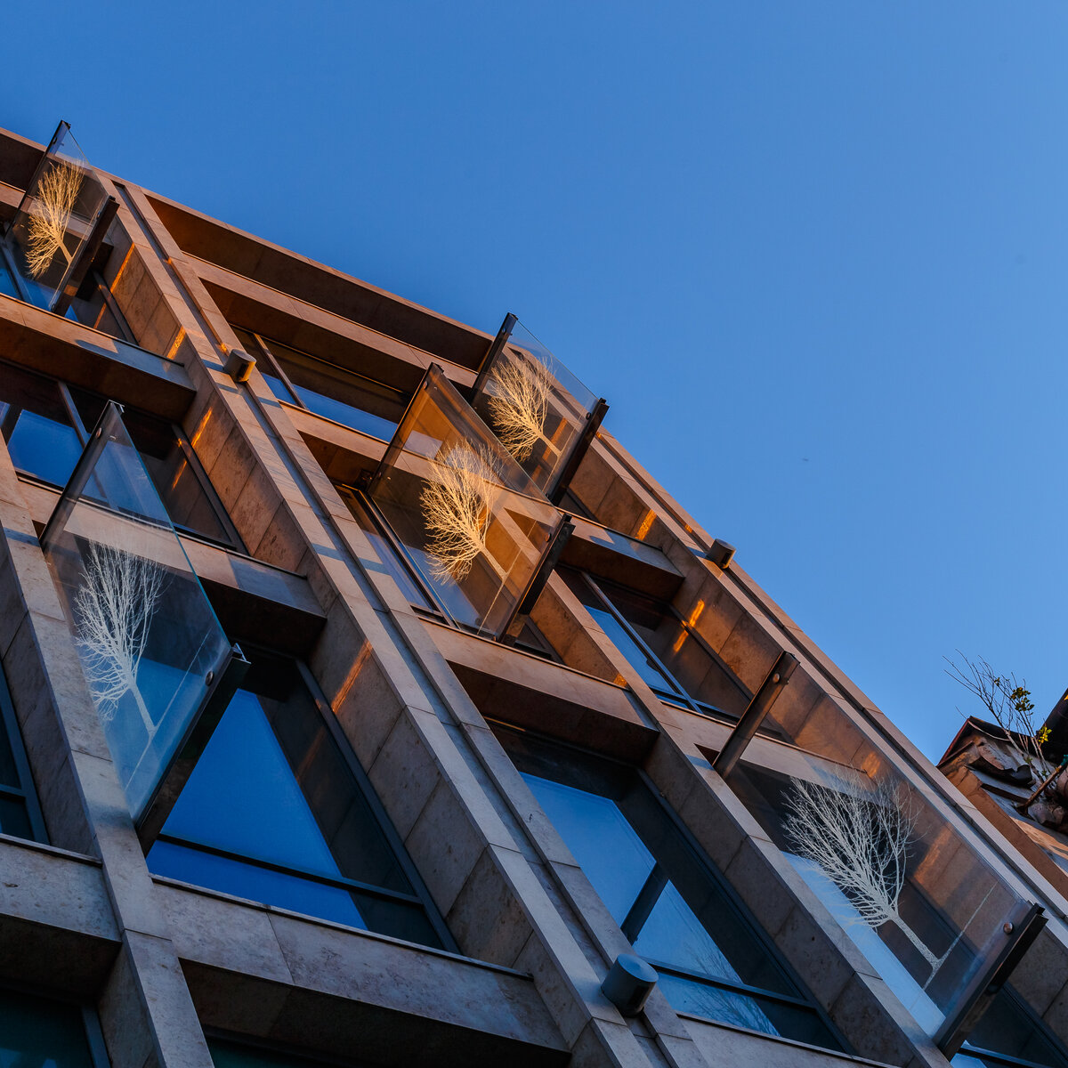 Фото: Георгий Безбородов