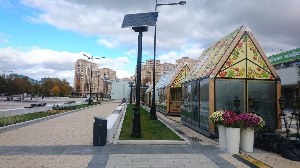   Фото: Zelenograd.ru 