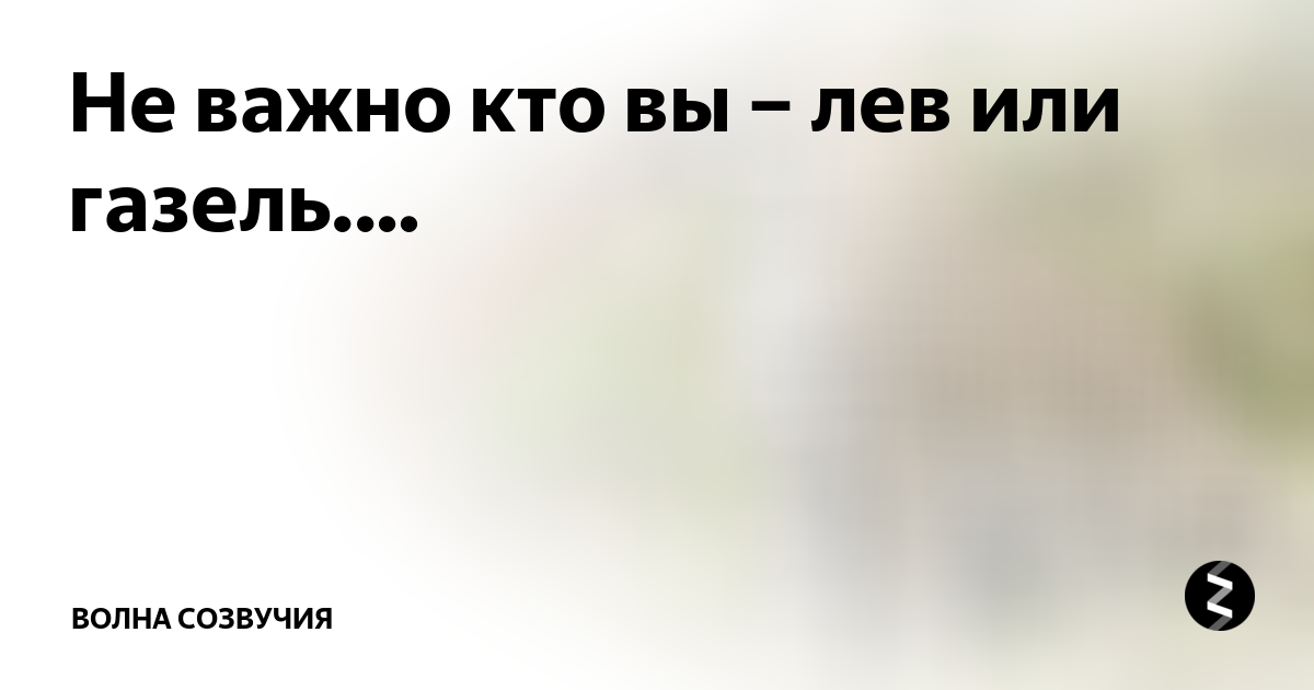 Каждое утро в африке просыпается газель она должна бежать быстрее льва