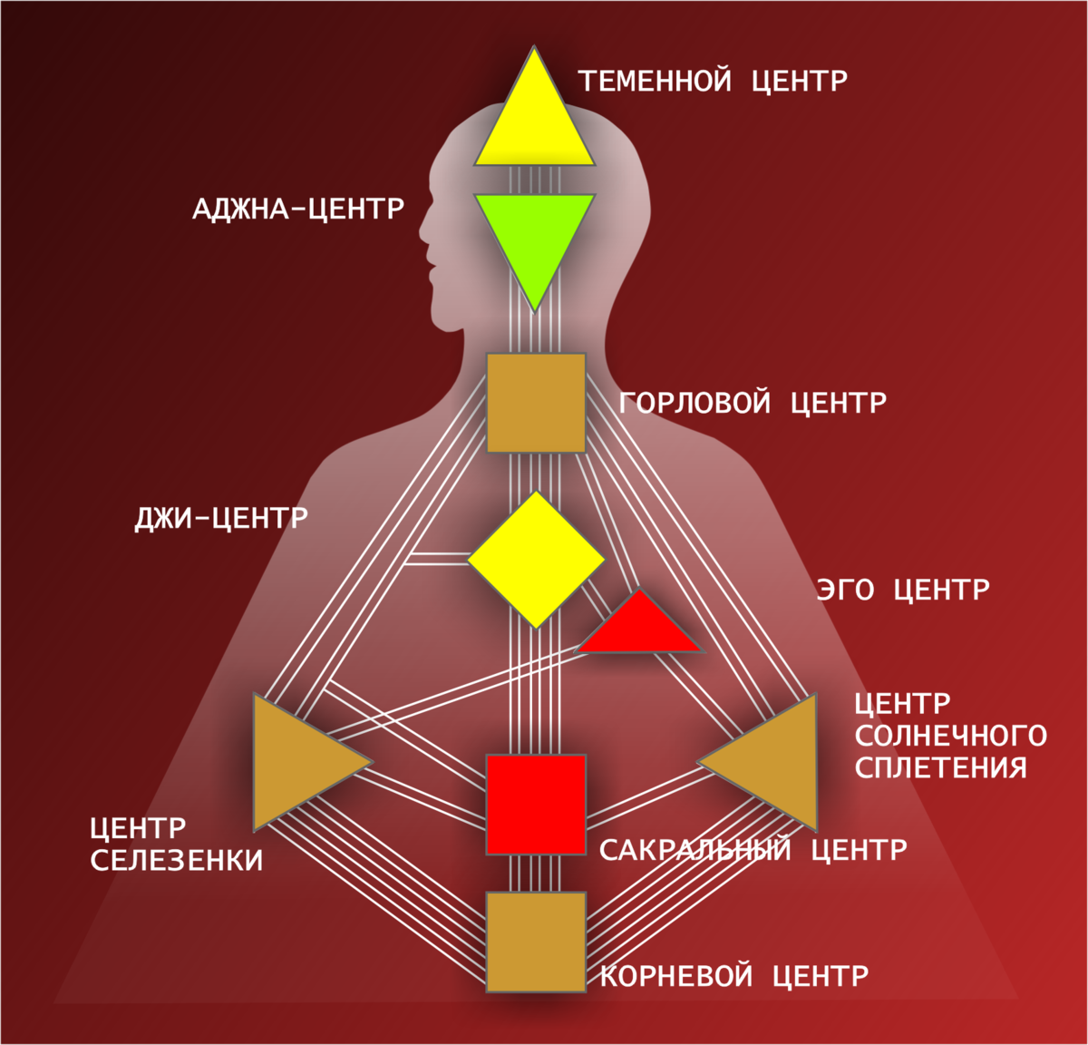 Design человека. Аджна бодиграф. Бодиграф дизайн человека. Центры в дизайне человека. Чакры в дизайне человека.