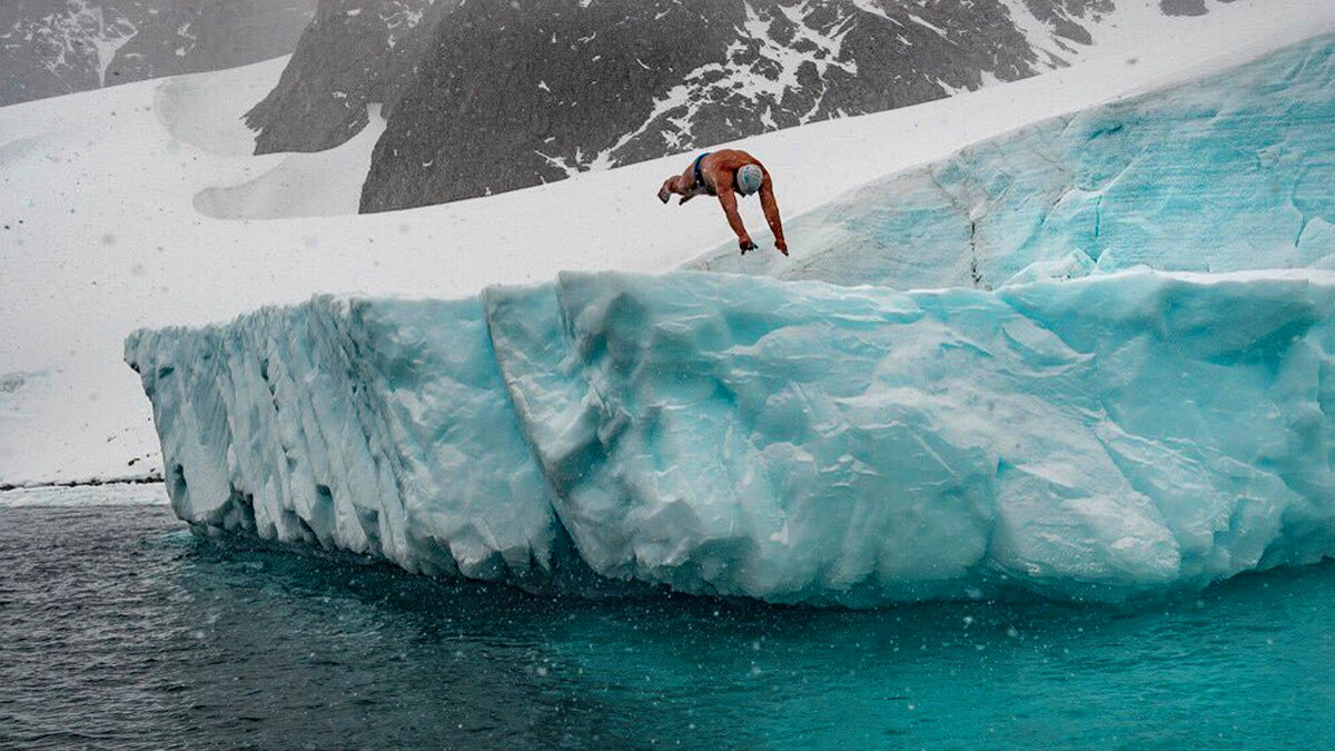 Старт заплыва в Антарктике. Фото: The Antarctic Report